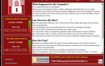 WannaCry Ransomware – Do you want to make decisions based on risk or value?